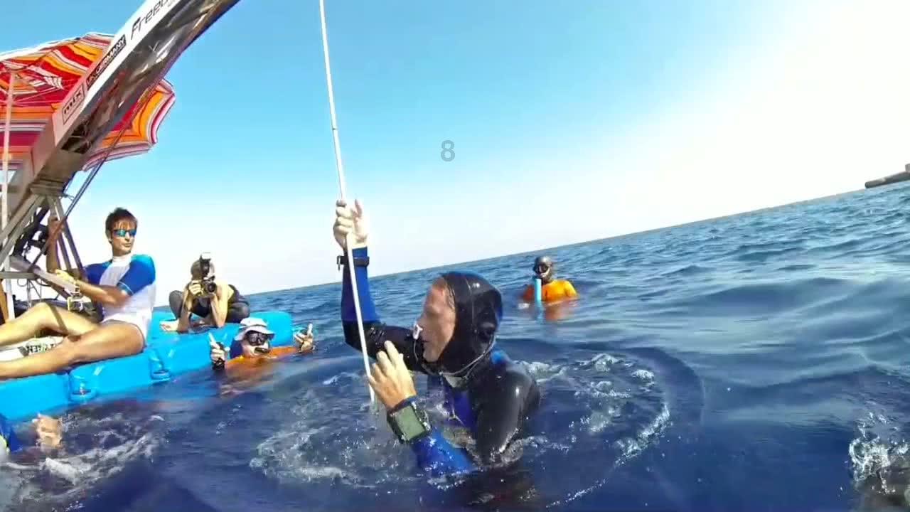 海南：村美产旺人安乐 振兴图景扑面来
